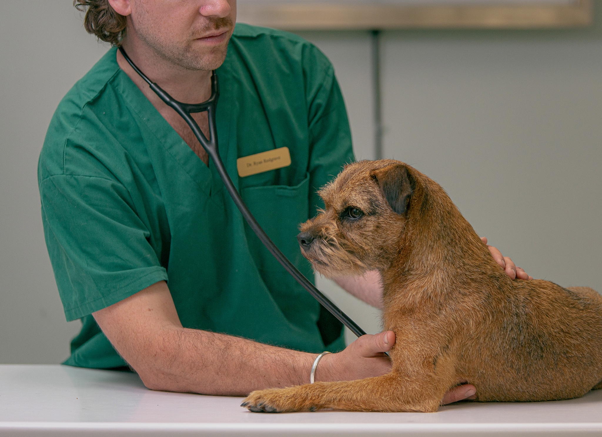 Weste Animal Hospital Halifax & Eastern Shore Veterinary Care