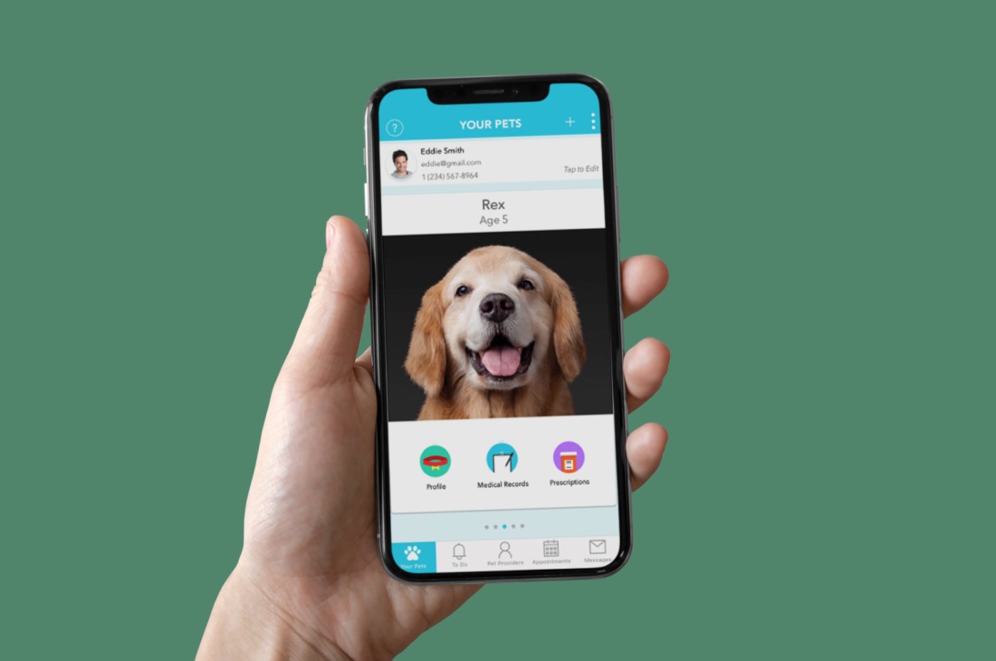 Petdesk app online